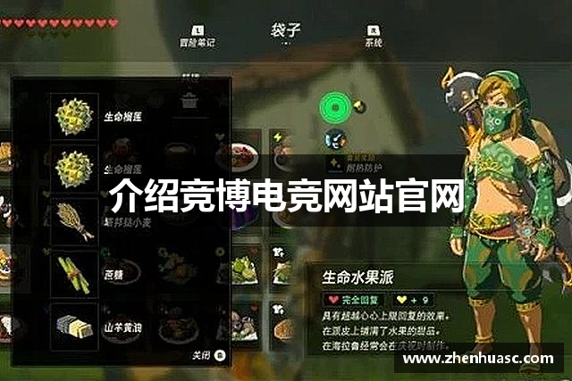 介绍竞博电竞网站官网